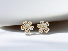 Fashion earrings
