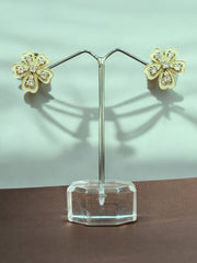 Fashion earrings