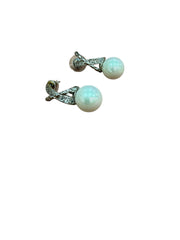 Fashion earrings