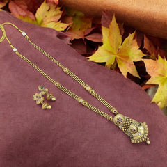 Elegant long necklace and earrings set