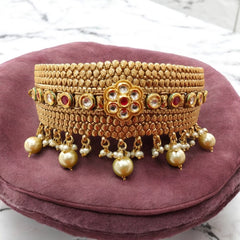 Luxurious Choker with matching earrings