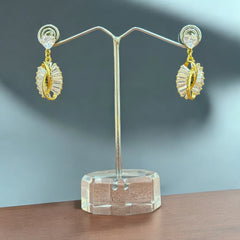 Luxury Gold & Zirconia Drop Earrings